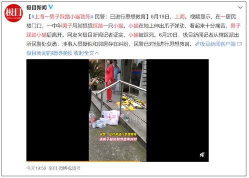 爆料踩踏动物视频,揭秘网络传播的踩踏动物视频事件  第3张